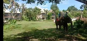 IMG-20210416-WA0073