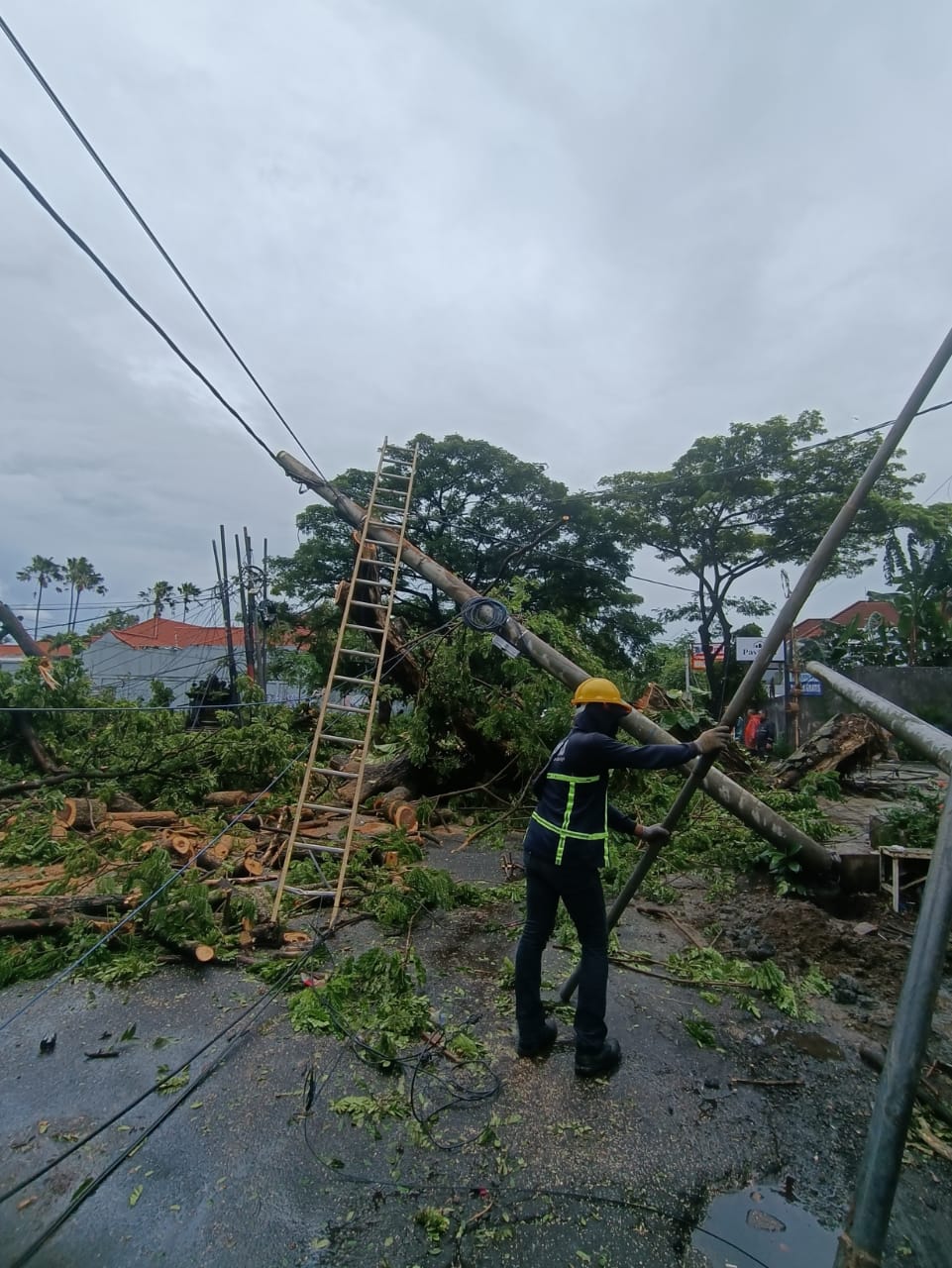 cuaca wilayah Bali