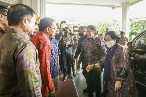 Giri dan mega.jpg