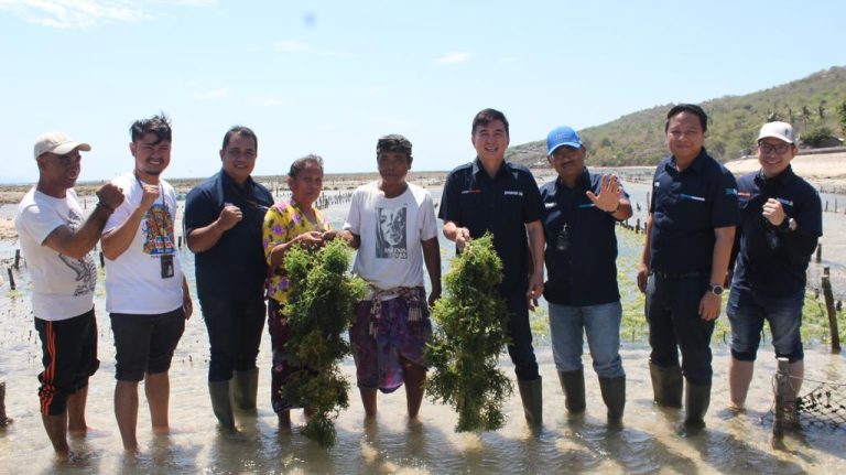 BRI Denpasar Bantu Delapan Kelompok Petani Rumput Laut di Nusa Penida