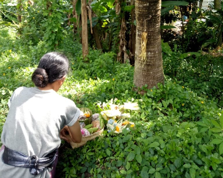 banten tumpek wariga