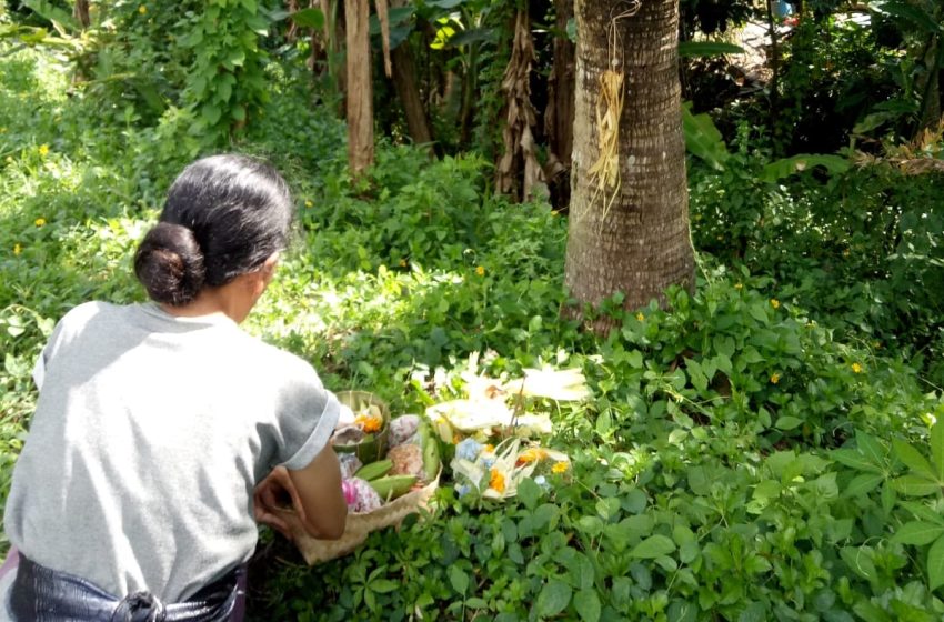 banten tumpek wariga