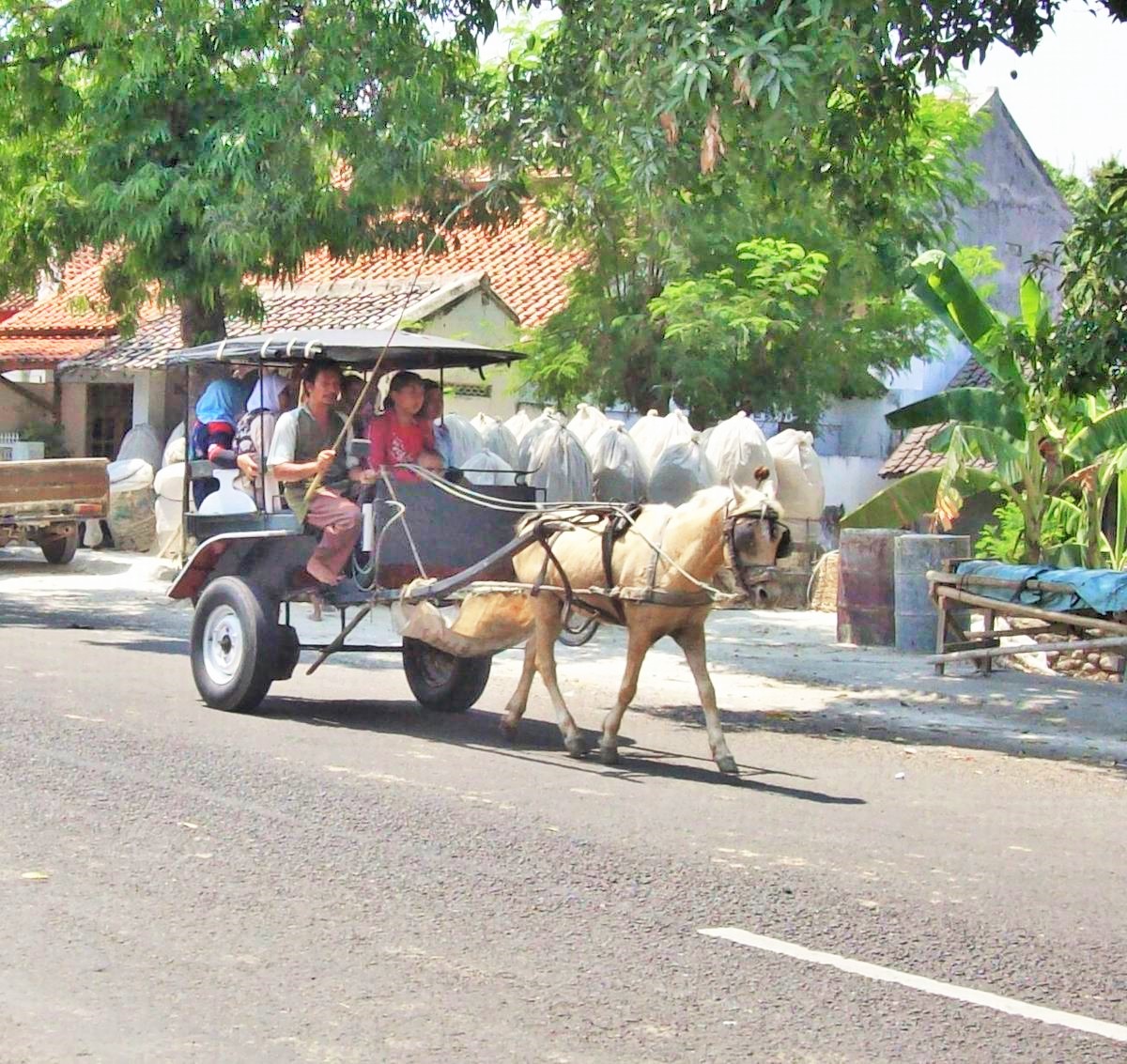 Mau Naik Dokar Gratis di Denpasar? Ini Rute dan Lokasinya