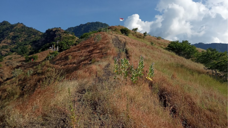 rekoemndasi tempat liburan di buleleng adalah bukit kursi