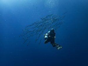 pantai untuk aktifitas diving dan snorkeling di bali