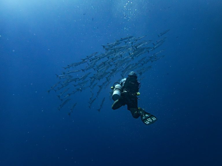 pantai untuk aktifitas diving dan snorkeling di bali