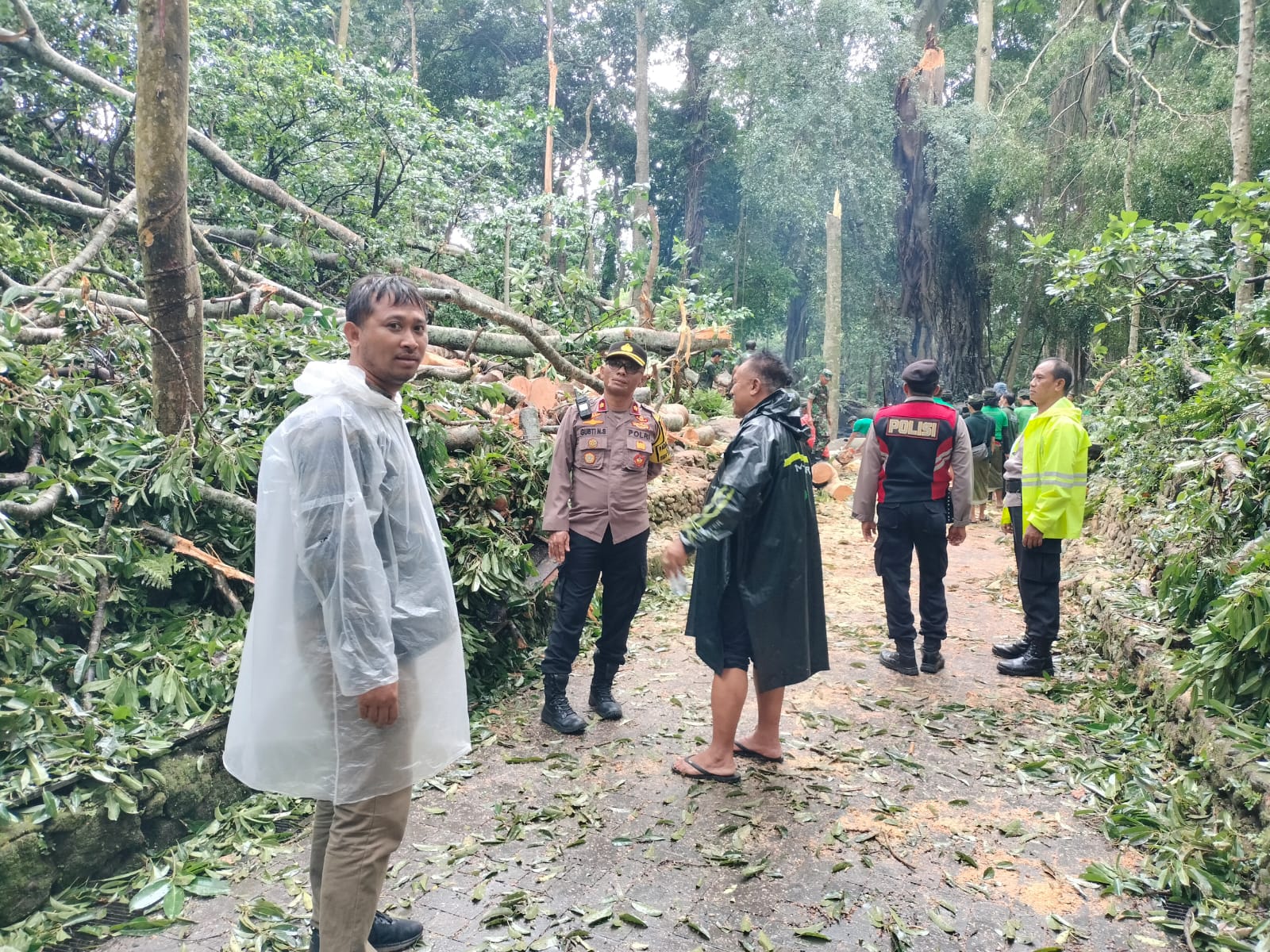 Kabid Humas Polda Bali Kombes Pol Jansen Avitus Panjaitan S.I.K., M.H., membenarkan kejadian tersebut pada selasa 10 desember 2024. Kejadian pada hari Selasa 10 Desember 2024 sekira pukul 12.25 Wita, saksi I Nyoman Lilir pada saat melaksanakan kontrol situasi tiba -tiba ada angin kencang disertai turun hujan di areal obyek wisata Monkey Forest Ubud, tidak berselang lama  lalu terdengar suara seperti pohon akan roboh dan setelah dicek ternyata pohon beringin, pohon Pule, dan pohon kresek yang tumbuh di sebelah pura Prajapati obyek Wisata Monkey Forest tumbang ke arah bagian timur, dimana saat itu ada banyak wisatawan berkunjung dan melihat hal tersebut kemudian para wisatawan berlarian menyelamatkan diri, namun ada beberapa orang wisatawan yang tertimpa pohon. Kemudian Saksi bersama staf obyek wisata Monkey forest dan beberapa wisatawan berusaha menolong korban yang tertimpa pohon tersebut untuk selanjutnya di bawa ke rumah sakit Kenak medikal Ubud dengan menggunakan mobil ambulance dan beberapa orang wisatawan dirawat di klinik obyek wisata Monkey forest, serta melaporkan kejadian tersebut ke Polsek Ubud melalui telepon. Pukul 12.50 Wita Kapolsek Ubud Kompol Gusti Nyoman Sudarsana,S.St., bersama Waka Polsek dan personil tiba di TKP dan langsung melaksanakan evakuasi dan pembersihan pohon yang tumbang tersebut. Akibat bencana alam pohon tumbang di areal obyek wisata Monkey forest terdapat 2 orang korban meninggal dunia dan 1 orang korban luka - luka, dengan identitas sbb : 1. Korban meninggal dunia an. FJC. perempuan 32 thn WNA asal Prancis. 2. korban meninggal dunia an. KH. perempuan 42 thn WNA asal korea. Sedangkan 1 orang korban luka-luka an. LS. perempuan 43 thn WNA asal korea. Untuk para korban yang meninggal maupun luka-luka masih dititip dan dirawat di rumah Sakit Kenak Medika Ubud, sambil menunggu hasil koordinasi dengan pihak Imigrasi maupun keluarga korban. Untuk proses penanganan/penyidikan saat ini ditangani Polsek Ubub Polres gianyar. beberapa hari terakhir cuaca sangat Extreme dan tidak menentu hujan disertai angin kencang bisa datang kapan saja dan tanpa ada tanda-tanda. Polda Bali menghimbau agar masyarakat berhati-hati, hindari nerteduh dibawah pohon terutama pohon besar apalagi saat hujan angin. Jaga kebersihan lingkungan jangan buang sampah sembarangan agar got/kali tidak tersumbat karna busa menyebabkan banjir pada lingkungan kita. Sementara jangan bepergian kelokasi alam seperti pegunungan/perbukitan karena rawan akan tanah longsor seperti yang sering terjadi, tutup KBP Jansen.