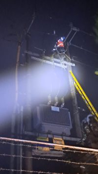 Gardu Listrik Tertimpa Pohon Tumbang