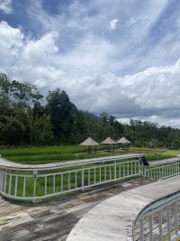 Jatiluwih Eco Farm