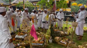 a2d6c961-5fe0-48b3-99aa-09124db170ab