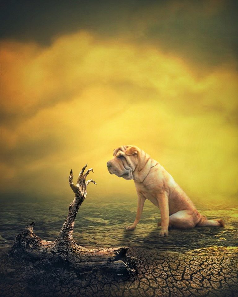 Makna di Balik Mimpi Digigit Anjing