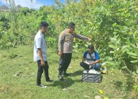 MIMIH! Buruh Proyek di Kuta Meninggal Misterius, Begini Penjelasan Polisi