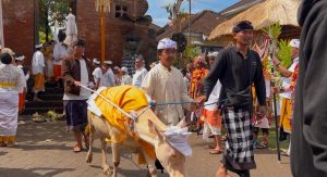 74a7d564-f891-4833-8568-dbe24f782fe6