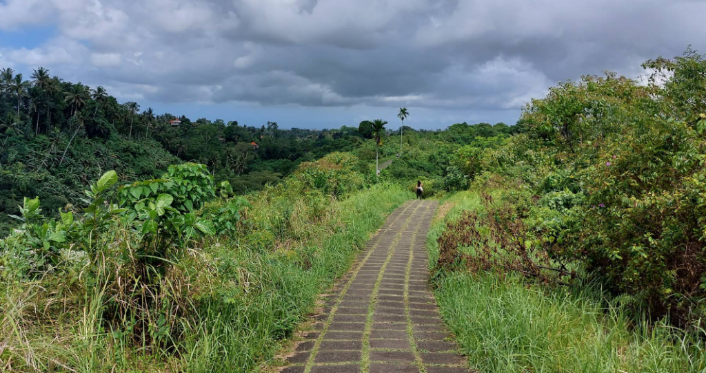 Menjelajahi Bukit Campuhan: Oase Ketenangan di Jantung Ubud