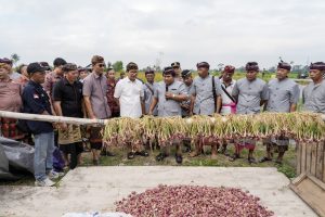 Bupati Wayan Adi Arnawa saat menghadiri Kegiatan Panen Perdana Pengembangan Bawang Merah di Subak Padedekan, Desa Angantaka, Abiansemal, Selasa, (19/8).