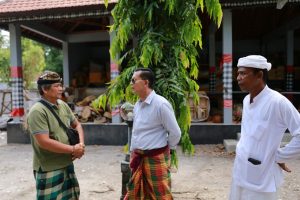 Bupati Satria Instruksikan BPBD Segera Tangani Pohon Tumbang di Pura Segara Dalem Ped