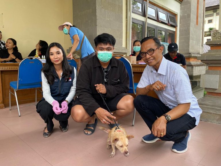 Dinas Pertanian dan Pangan (Disperpa) Kabupaten Badung Gelar Vaksinasi Gratis Hewan Penular Rabies (HPR)