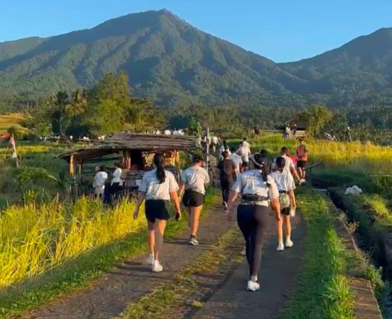 Jatiluwih Jadi Panggung Sport Tourism Berkelanjutan, ASITA Bidik Besakih untuk Event Berikutnya