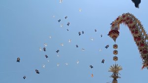 Denpasar Kite Festival ke-10 di Pantai Mertasari Sanur, 763 Layangan Ramaikan Hari Pertama