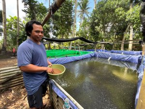 KUR BRI Dukung Pengembangan UMKM Produktif, Pembibitan Lele di Bali Tingkatkan Kapasitas Produksi