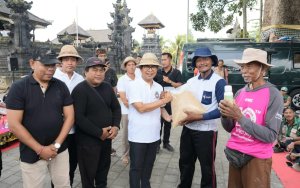 Bupati Adi Arnawa saat acara Gerakan Tanam Padi metode Pertanian Modern Advanced Agriculture System (PMAAS) di Subak Tanah Yeng, Desa Sedang, Kecamatan Abiansemal, Sabtu (29/8)