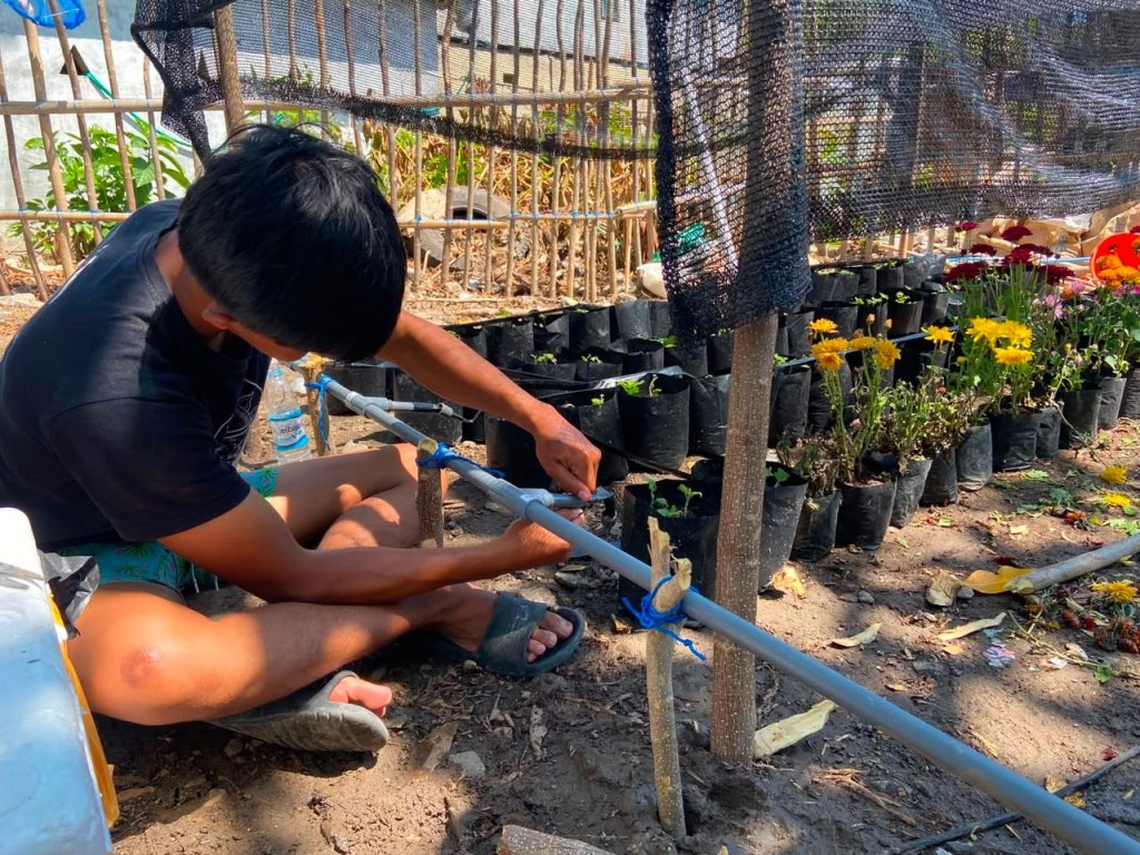 Dari Pesisir Manggarai Barat, Krisan Tumbuh dan Harapan Ekonomi Baru Muncul
