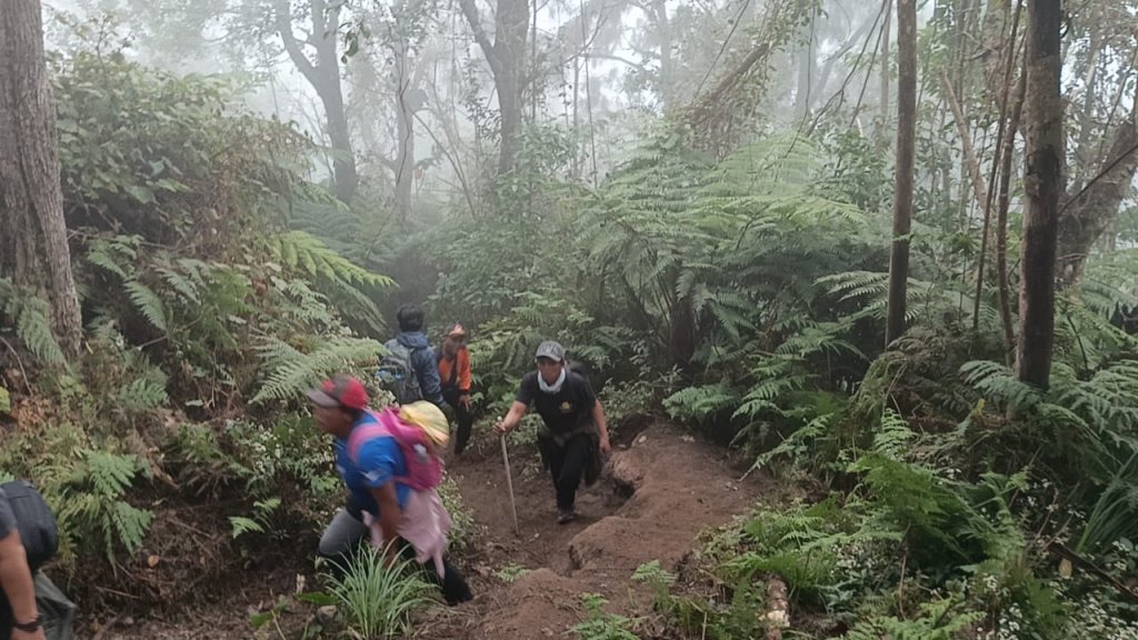 Jejak Tongkat di Ketinggian 2.854 MDPL, Harapan untuk Dua Pendaki yang Hilang di Gunung Agung
